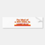 I am kind of a BIG DEAL in Asheville Bumper Stickers
