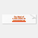 I am kind of a BIG DEAL in Fayetteville Bumper Sticker