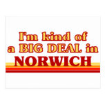 I am kind of a BIG DEAL in Norwich Post Cards