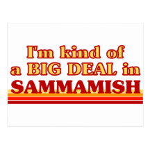 I am kind of a BIG DEAL in Sammamish Postcards