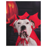 I am not a Devil Dog! Customized Letterhead