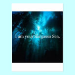 I Am Your Sargasso Sea postcards