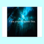 I Am Your Sargasso Sea postcards