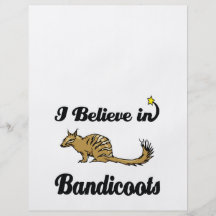 i believe in bandicoots full colour flyer