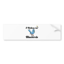 i believe in bluebirds bumper stickers