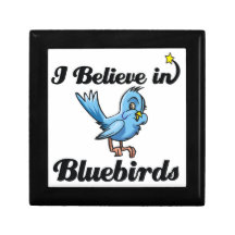 i believe in bluebirds gift boxes