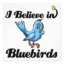i believe in bluebirds invitation