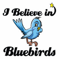 i believe in bluebirds photo cutouts