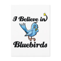 i believe in bluebirds postcard