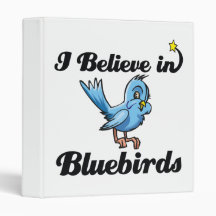 i believe in bluebirds vinyl binders