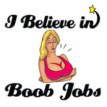 i believe in boob jobs photo sculptures