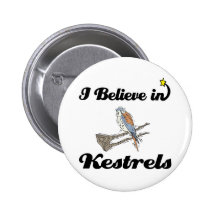 i believe in kestrels buttons