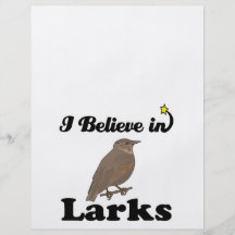 i believe in larks flyer design