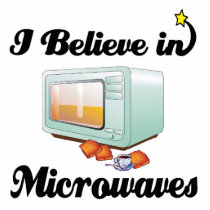 i believe in microwaves photo sculpture
