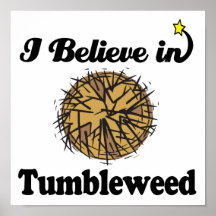 i believe in tumbleweed poster