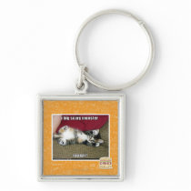 I big scary monster key chains