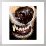 I BITE! PRINT