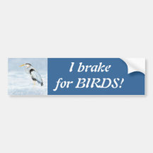 I brake for Birds - Birding with Great Blue Heron Bumper Sticker
