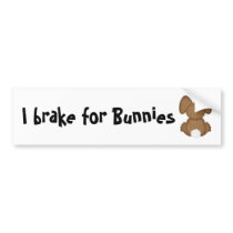 I brake for Bunnies