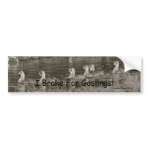 I Brake For Goslings! bumper stickers