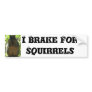 I Brake For Squirrels - Humour Bumper Sticker