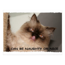 I CAN BE NAUGHTY OR NICE POST CARD