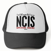 I Cant Tell Anyone NCIS Agent
