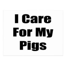I Care For My Pigs Postcard