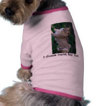 "I chase lions for fun" Doggie sweater Dog Tee Shirt