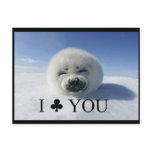 I Club You (love / valentine's day) Postcard