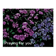 I Come to the Garden Alone Floral Postcard