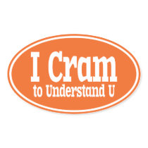 I Cram to Understand U