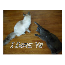 I dare ya  Postcard