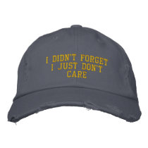 I Didn't ForgetI Just Don't Care