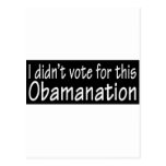 I didn't vote for this Obamanation! Post Cards