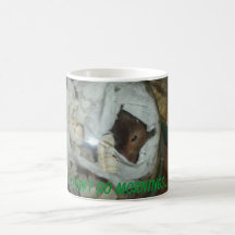 I don't do mornings... coffee mugs