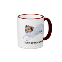 I DON'T DO MORNINGS MUGS