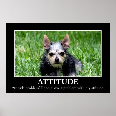 An Attitude