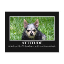 I don't have an attitude problem