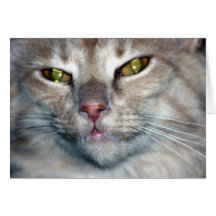 I Don't Like Morning People Card