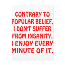 I Don't Suffer From Insanity I Enjoy Every Minute Post Cards