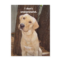 I don't understand.
