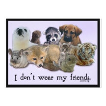 I Don't Wear my Friends Custom Invitation