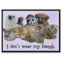I Don't Wear My Friends Custom Flyer