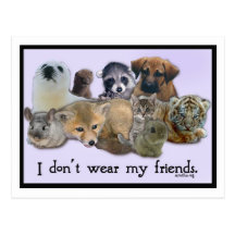 I Don't Wear My Friends Post Cards