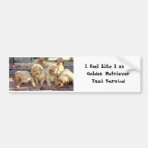 I Feel like I am a Golden Retreiver Taxi Service Bumper Sticker