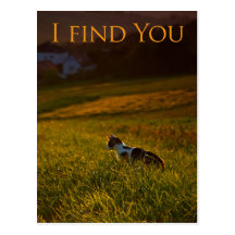 I find You - Postcard