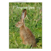 I Forgive You Jack Rabbit greeting card