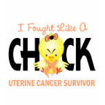 I Fought Like A Chick Uterine Cancer Survivor t-shirts