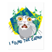 I found the catnip post card